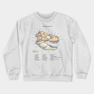 Tyrannosaurus rex Skull Diagram Crewneck Sweatshirt
